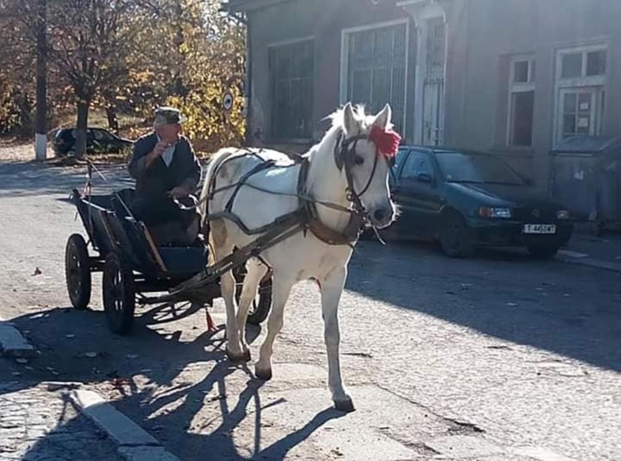 Serendipity Cottage Palamartsa Palamarza Экстерьер фото