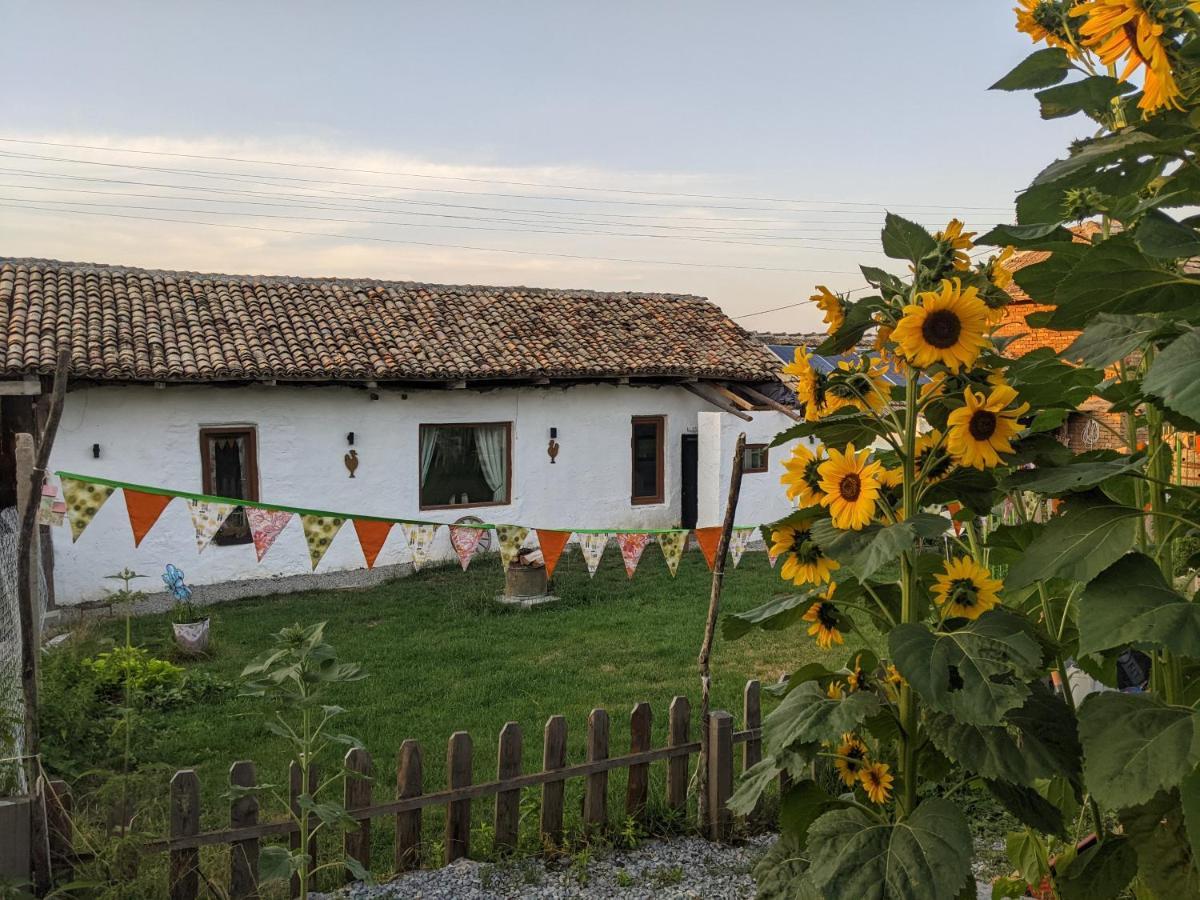 Serendipity Cottage Palamartsa Palamarza Экстерьер фото